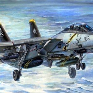 trumpeter	3202	F-14B bombcat